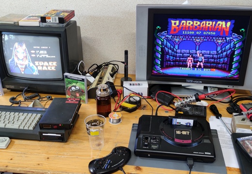 past-game-rebirth---2022 52146996128 o